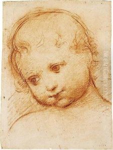 Study Of The Head Of A Child by Boccaccio Boccaccino