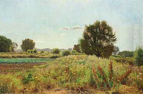 Sommerlandskab - view 1