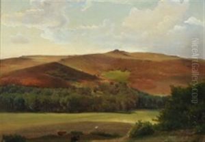 A Landscape Study From Rebild Bakker, Denmark