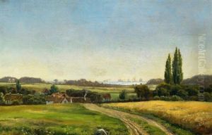 Landschaft Mit Blick Auf Den Oresund