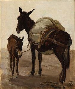 Donkeys Donkeys