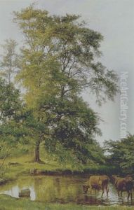En Gruppe Traeer Ved Et Vandlob