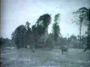 Koerne Malkes Pa Marken, Ved Morgengry by Edvard Frederik Petersen