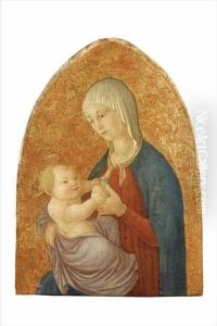 Madonna Col Bambino by Boccati Familiare Del