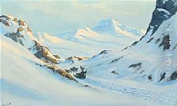 Dogsledding In Greenland On A Sunny Day - view 1