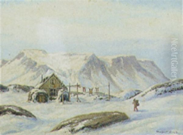 Parti Fra Gronland - view 1