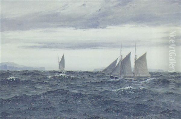 Marine Med Sejlskibe I Nordatlanten - view 1