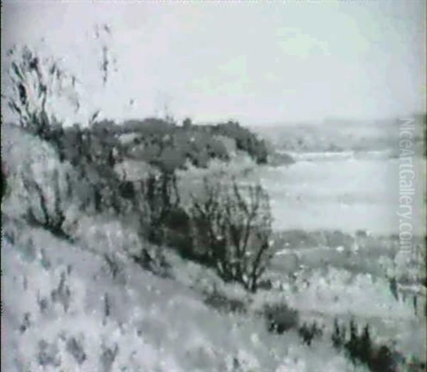 Moorlandschaft Bei Schleswig - view 1