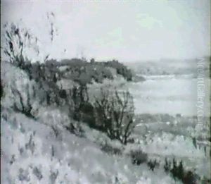Moorlandschaft Bei Schleswig