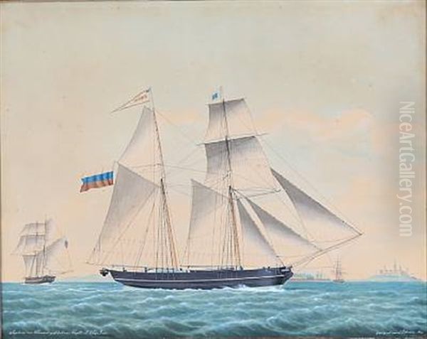 The Schooner Sophia Von Pernau - view 1