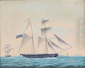The Schooner Sophia Von Pernau by Jakob Petersen