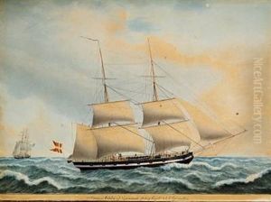 Ship Portrait Of Briggen Colibri From Apenrade