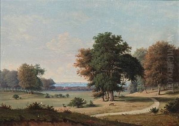 Danish Summer Landscape - view 1