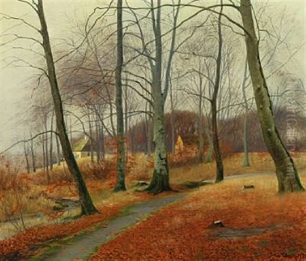 Autumn Forrest - view 1