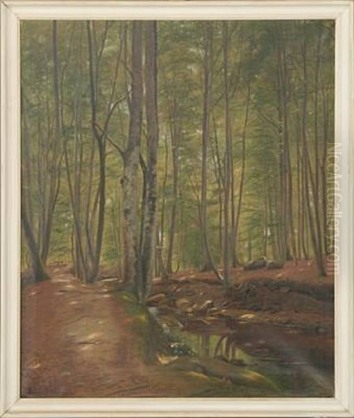 Forest Scenery From Marselisborg - view 1