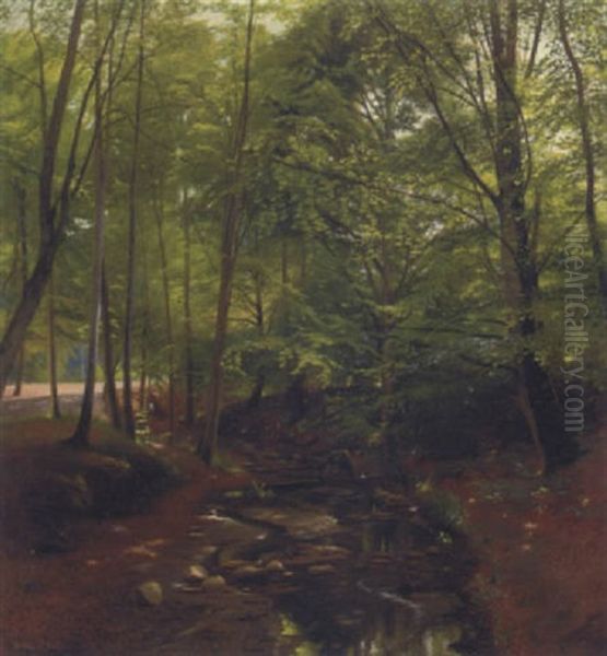 A Stream Running Through A Woodland Glade - view 1