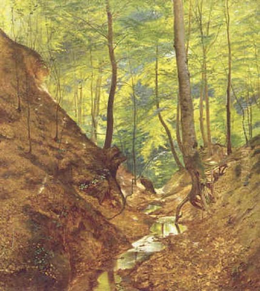 Forarsskov - view 1