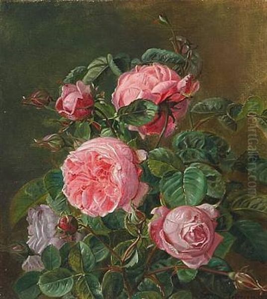 Pink Roses - view 1