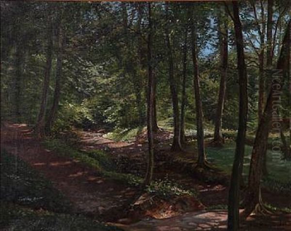 Summer Day In The Woods - view 1
