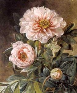 Lyserode Paeoner by Sofus Petersen
