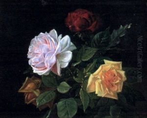 Rosor Rosor