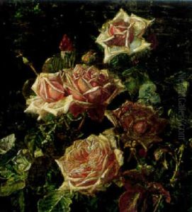 Dugvade Blomstrende Rosre Dugvade Blomstrende Rosre
