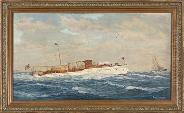 A White-hulled Steamship Off The Coast - view 1