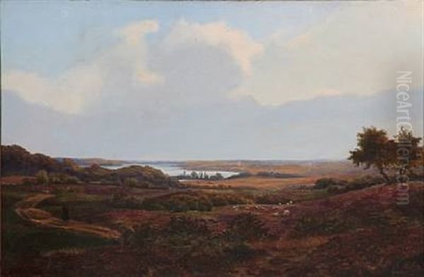 Landscape At Tystrup Lake On Zealand, Denmark - view 1