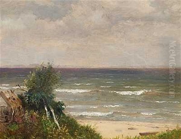 Strandparti Fra Nordsjaelland (hornbaek?) I Baggrunden Den Svenske Kyst - view 1
