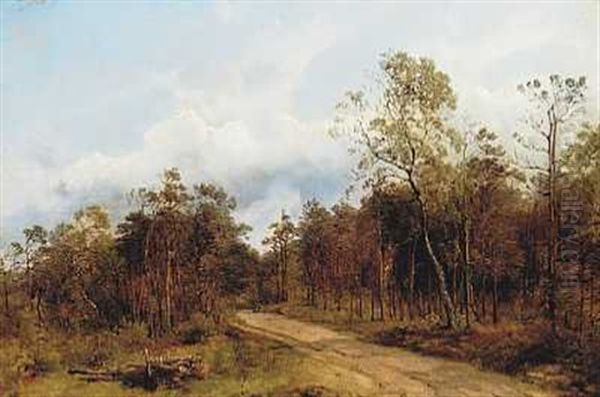 Strandvejen Gennem Hornbaek Plantage - view 1