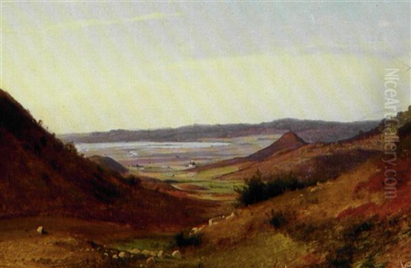 Sensommerdag Med Lyngbakker Ved Mosso, I Baggrunden Yding Skovhoj - view 1