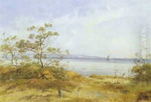 Strandparti Med Lave Fyrretraeer Strandparti Med Lave Fyrretraeer