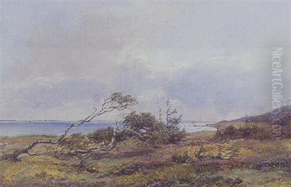 Parti Fra Hornbaek Plantage - view 1