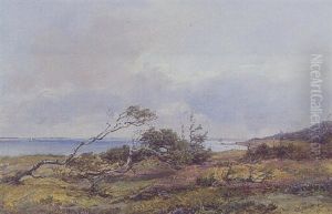 Parti Fra Hornbaek Plantage by Vilhelm Peter Carl Petersen