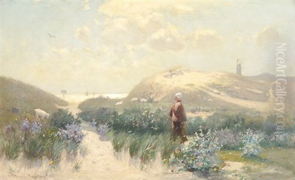 Morgenstimmung In Den Dunen Von Holland - view 1