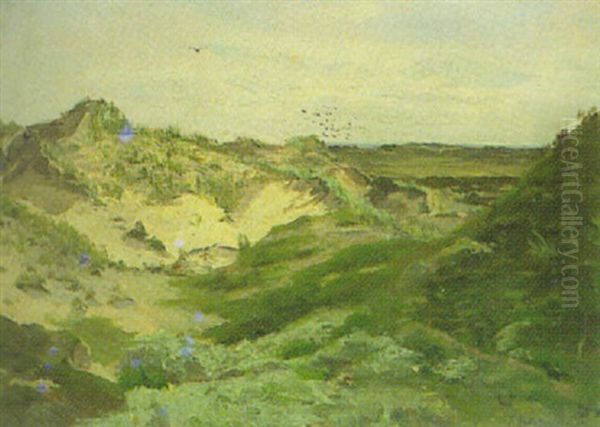 Grune Dunenlandschaft - Nordsee - view 1