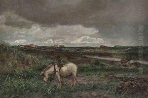 Ruskevaer, Orre. Skisse Ruskevaer, Orre. Skisse