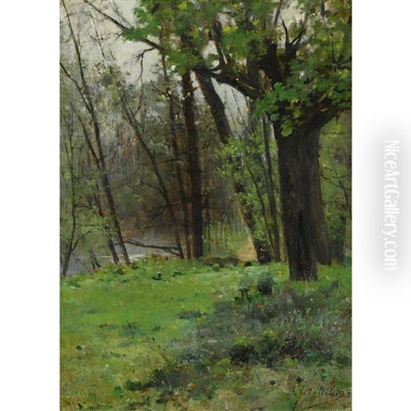 Waldweg Am Ufer - view 1