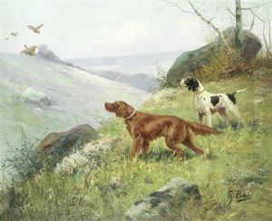 A Study Of Gun Dogs