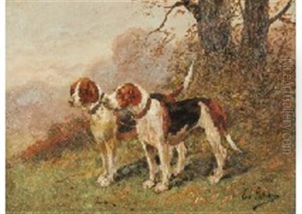 Chien - view 1