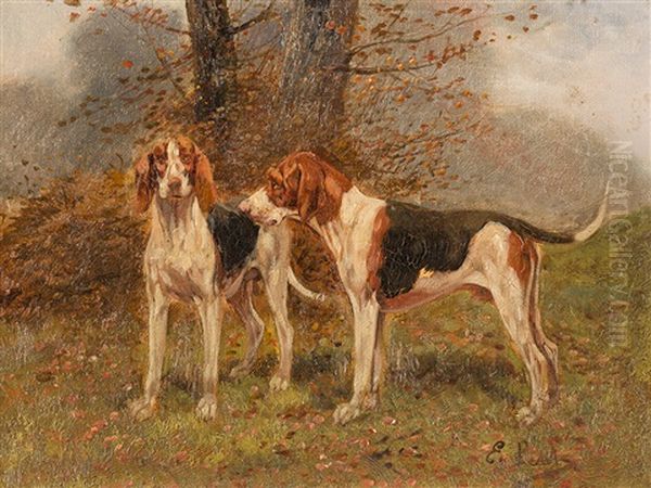 English Pointer - view 1