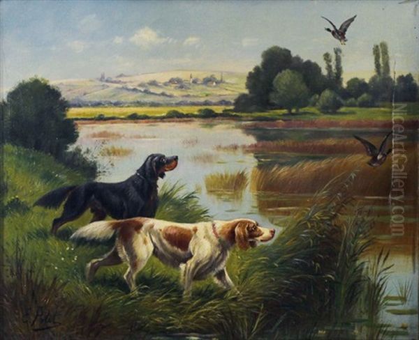 Epagneul Et Setter Gordon Sur La Piste De Cols Verts - view 1