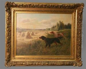 Deux Chiens Dans Un Champ Avec Des Meules