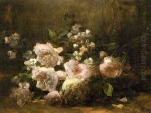 Jete De Pivoines Jete De Pivoines