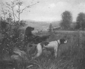 Deux Chiens A L'arret Dans Les Hautes Herbes Deux Chiens A L'arret Dans Les Hautes Herbes