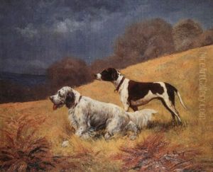 Deux Chiens A L'arret Dans Les Champs