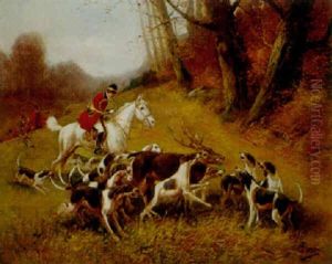 Chasse A Course Au Cerf Chasse A Course Au Cerf