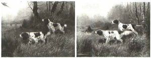 Flushing Pheasants Flushing Pheasants