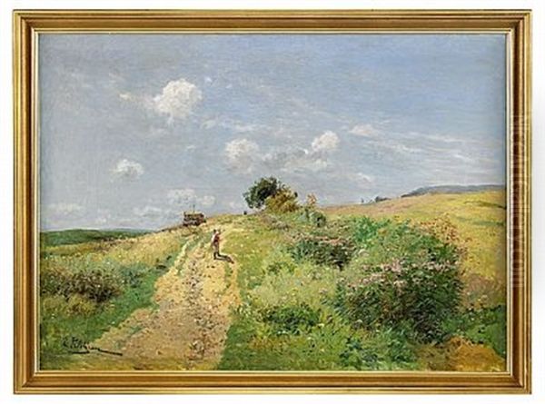 Sommarlandskap - view 1