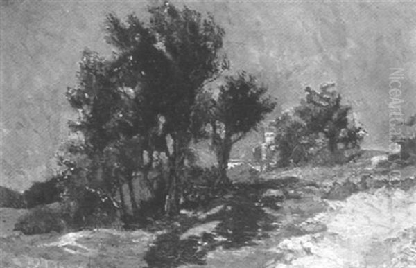 Landscape - view 1